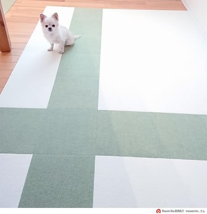 Sanko Just Place and Veterinarian Pet Tile 30cm x 40 Sanko Made in Can be Cut with Stick, Recommended, Water-Repellent Mat, 30cm, Pieces, Green, Dog,