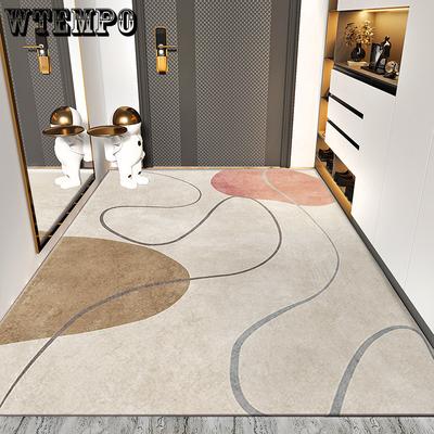 Minimally Designed Floor Mats for Home Use Thickened Entrance Mats and Grey Entrance Carpets