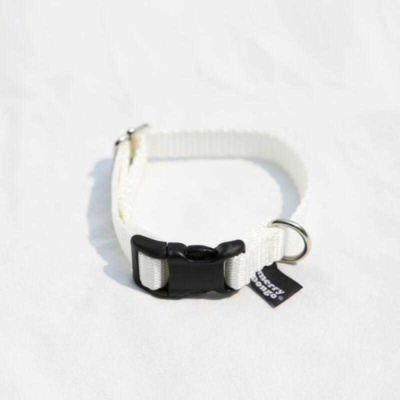 White Basic Leash