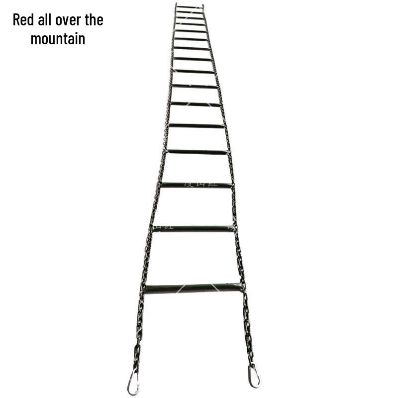 Agility Training Climbing Ladder 7m