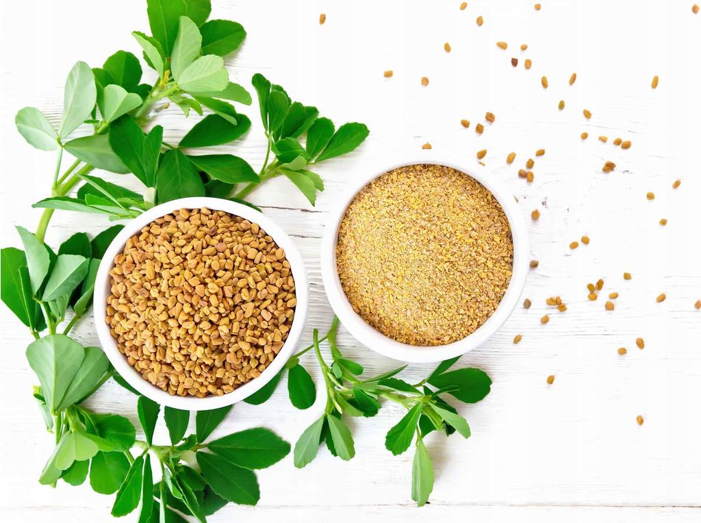 Kozieradka mielona - 100g Naturalna