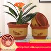 XL Purple Clay Terracotta Ceramic Flower Pot - Breathable for Clivia & Bonsai, Free Shipping