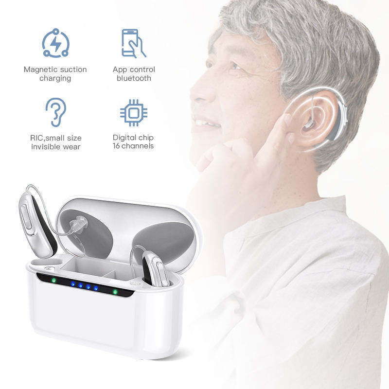 30 Channel Program Digital Hearing Aid Rechargeable Noise Reduction Sound Amplifier Deafness Adjustable Portable Hearing Aids