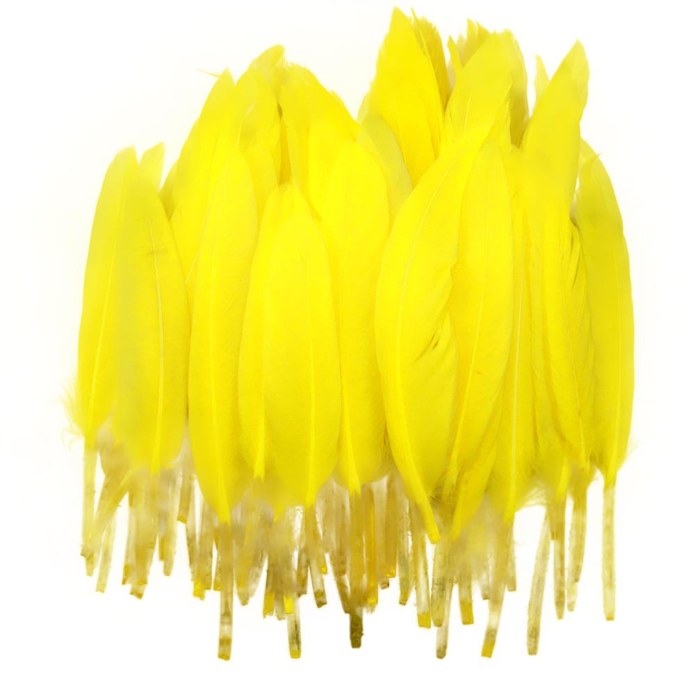 FeatherYellow Feathers for Crafts, 31 Styles Natural Pheasant, Rooster, Duck Feathers Bulk for Costume DIY, Fly Tying,Party Decoration