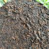 Wild Old Tea Pu'er Tea Ripe Puer Tea 100g * 5 Pcs Puerh Tea Cake