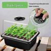 12-Hole Succulent Seedling Tray Set with Lid – Moisture & Temperature Control