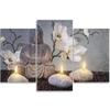 Dreiteiliges Bild auf Leinwand, Buddha-Orchideen-Blumen-Natur