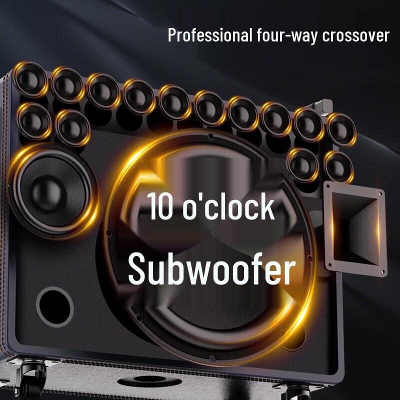 Sansui Q109 Portable Outdoor Karaoke Speaker System CN Plug (adapter Included)