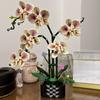 Adult Orchid Construction Block Set, Plant Series Suitable For Household And Office Decoration, Christmas Gifts, Valentine'S Day Gifts, Mother'S Day