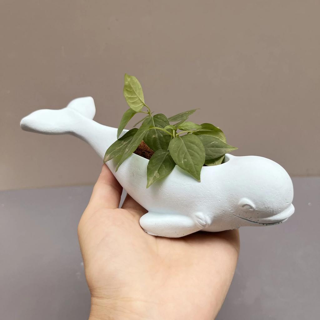 Large DIY Marine Animal Whale Seal Succulent Plant Flower Pot Resin Silicone Mold Lighthouse Candle Cup Concrete Gypsum Mold