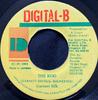 7inch Record GARNETT SILK  The Rod NONE DigitalB 1992 Jamaica Reggae Ska  Dub Used
