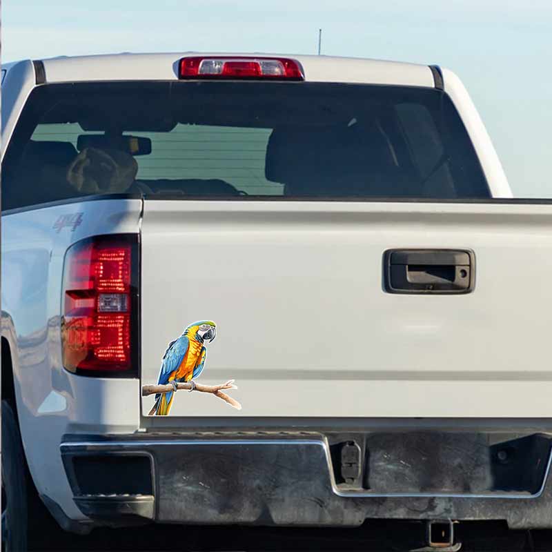 Macaw Car Sticker Waterproof Vinyl Decal on Bumper Rear Window Laptop Self-adhesive Decal For Car Accessories TM211