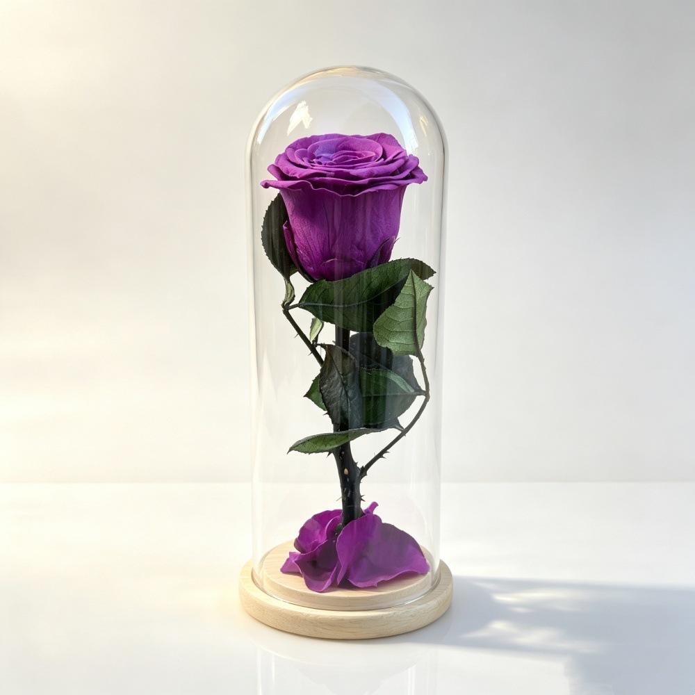 Fiore Immortale Rosa Il Piccolo Principe Cupola di Vetro Festa della Mamma San Valentino Ramo Singolo Rosa Immortale