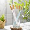[Wangta] Toothbrush Soft Gold / Basic Stone / Hard Black (1Unit - 10 Pieces)