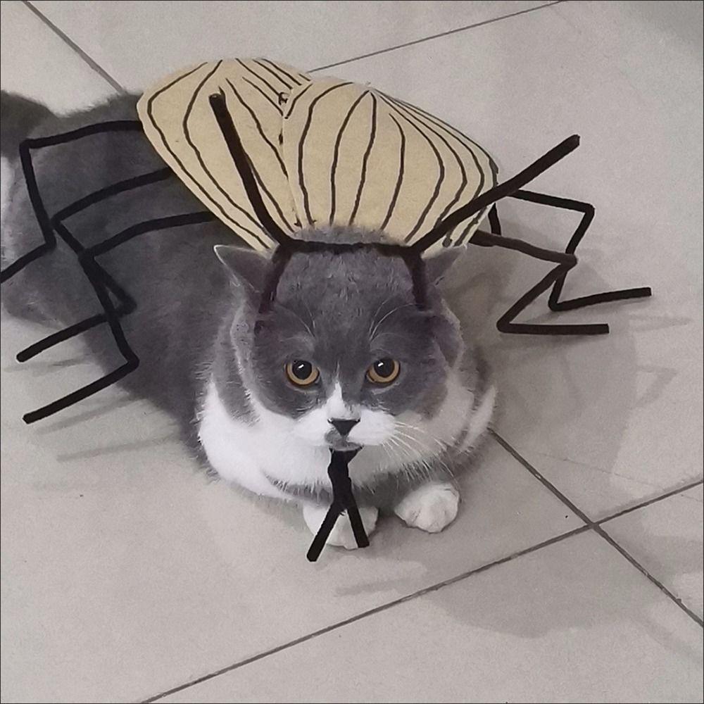 Cartoon Cat Cosplay Cockroach Costume Creative Cat Clothes DIY Material Package Party Dress