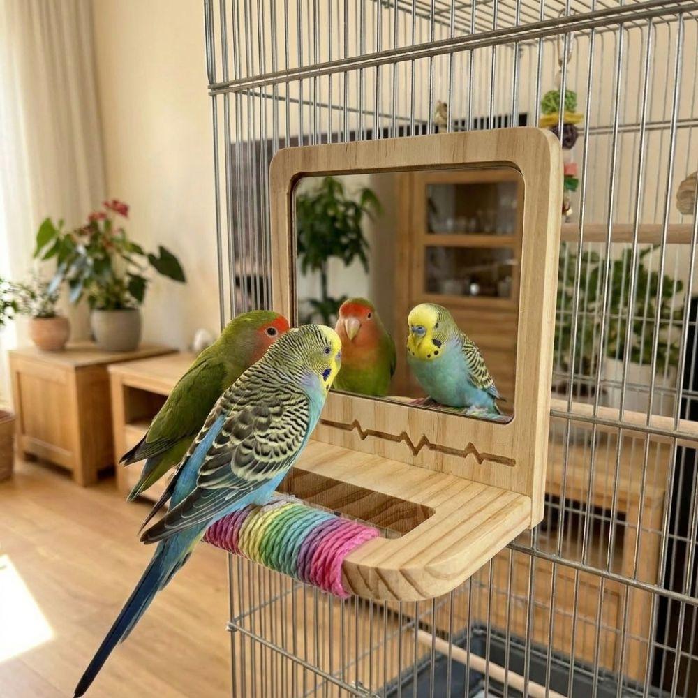 Wear Resistant Bird Perch with Mirror Bite Resistant Interactive Parrot Biting Rod for Small Birds