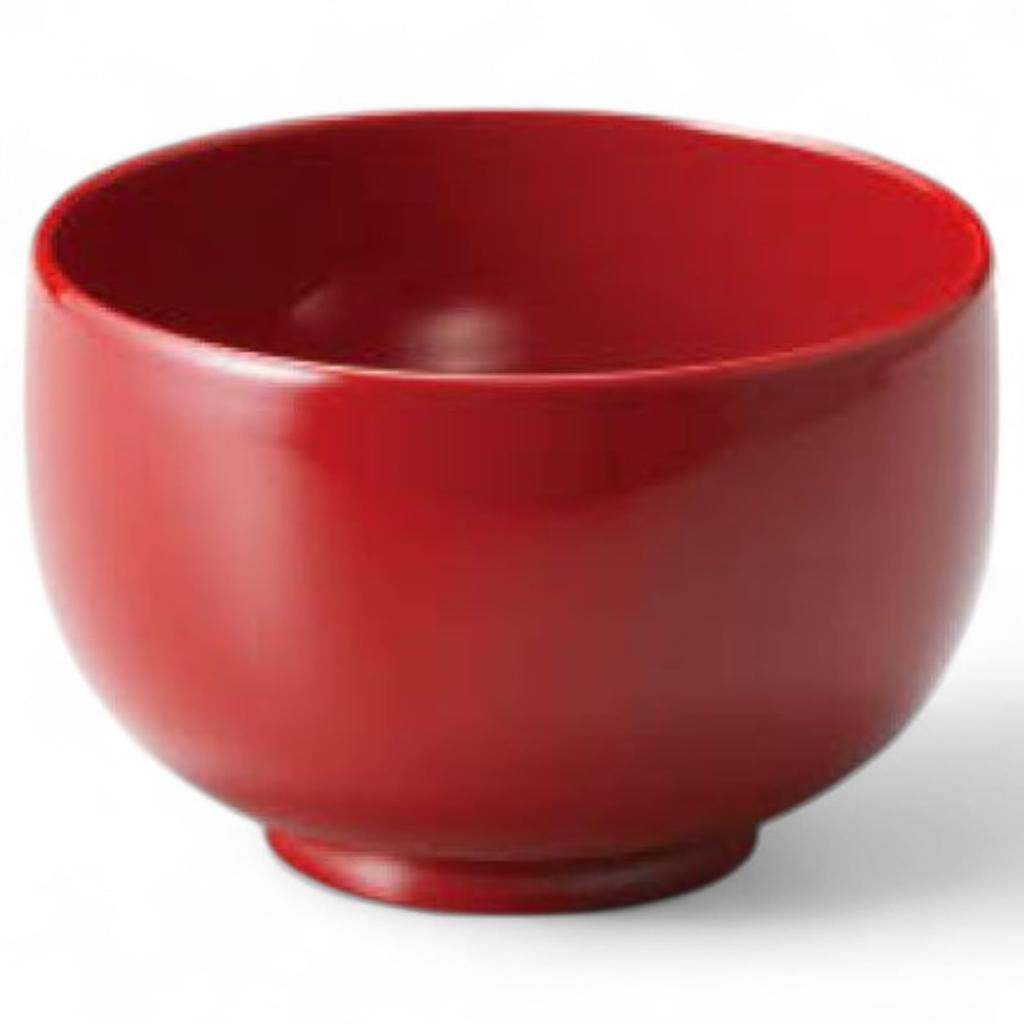 Lacquerware Dishwasher Made in Japan J-kitchens Bowl, Hand-Painted, Safe, PID-528213,