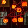 Spring Festival Double Happiness Red Lantern LED String Lights - Festive New Year Decoration