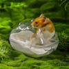 Transparent Hamster Cage External Bathroom Toilet Sandbox Easy To Cleaning Big Space Removable Bath Small Pet Bath Supplies