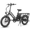 Fafrees FF20 CUV - Electric Cargo Bike - 250 W - 48 V - 24 Ah - 20-inch Hub - Maximum Speed 25 Km/h - Black