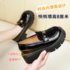 Thick-soled Inner Height Increase Women's Autumn One-pedal Camellia Round Head Small Leather Shoes Single Shoes Women