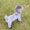 Kleding en schoenen – Honden jasjes