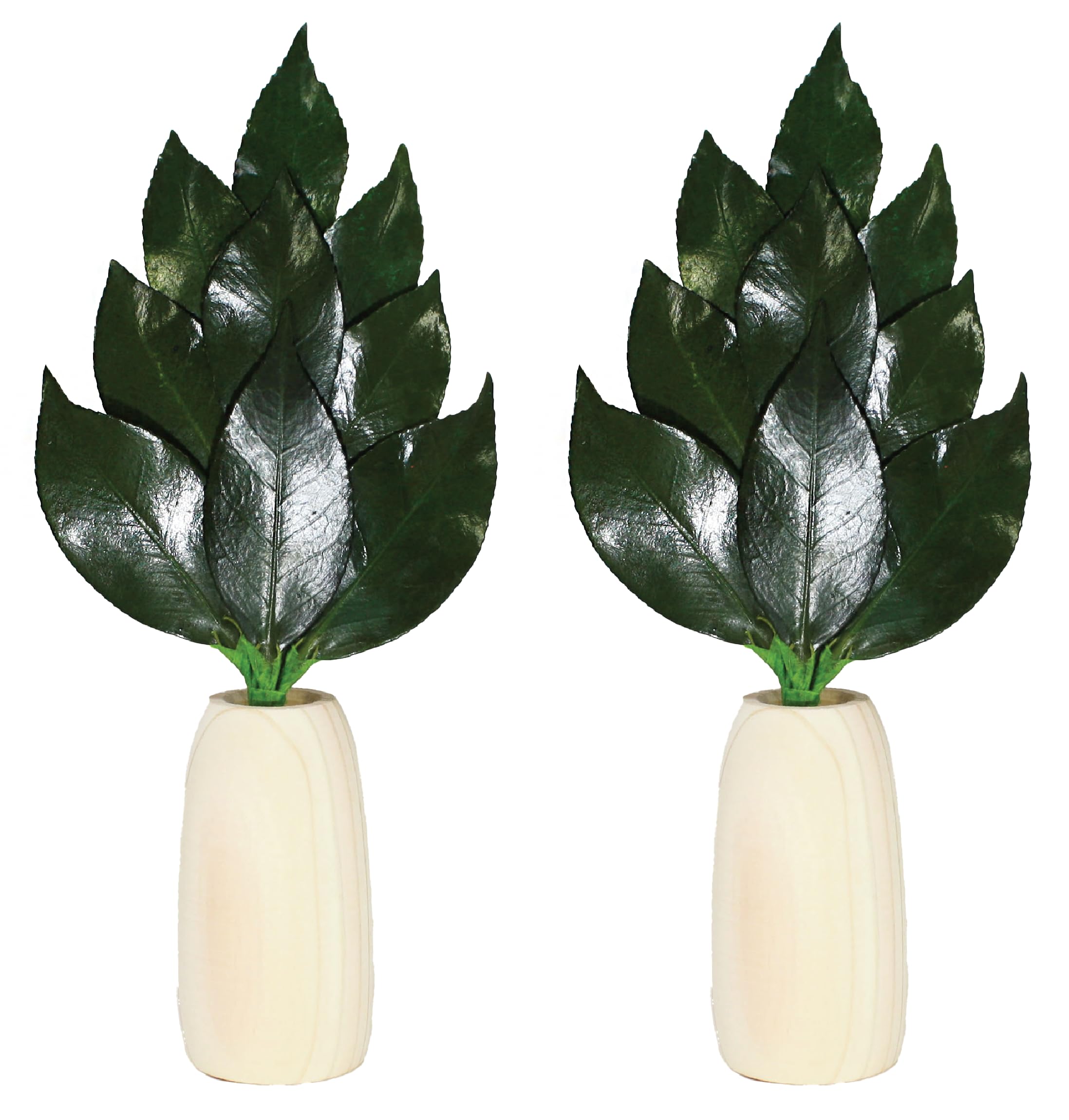 

A&K Kiwami Sakaki Mini Small Round Sakaki Stand Set [Made with Fresh Leaves] Preserved Sakaki Trees, Modern Shinto Altar (Made with Premium Tanba