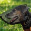 Dog Protective Face Mask Mesh Face Cover Block Grass From Eye Ear Nose For Active Outdoor Breeds Hiking Camping