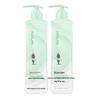 Adolph Amino Acid Oil Control Volumizing Shampoo Set