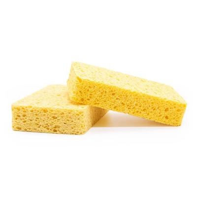 Houba na čištění dřevěné buničiny