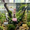 Air Driven Dancing Skeleton Aquarium Bubbler Plastic Movable Oxygen Skeleton  Aquarium Tank