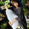 Creative Marine Animal Plush Toy Doll Simulation Little Penguin Throw Pillow Children's Doll Holiday Gift