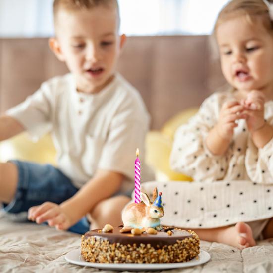 

Party Cake Candle Holder Cake Topper Animal Candle Holder Goose Dog Figurine Taper Candle Holder for Cakes Candles Birthday Party Supplies C