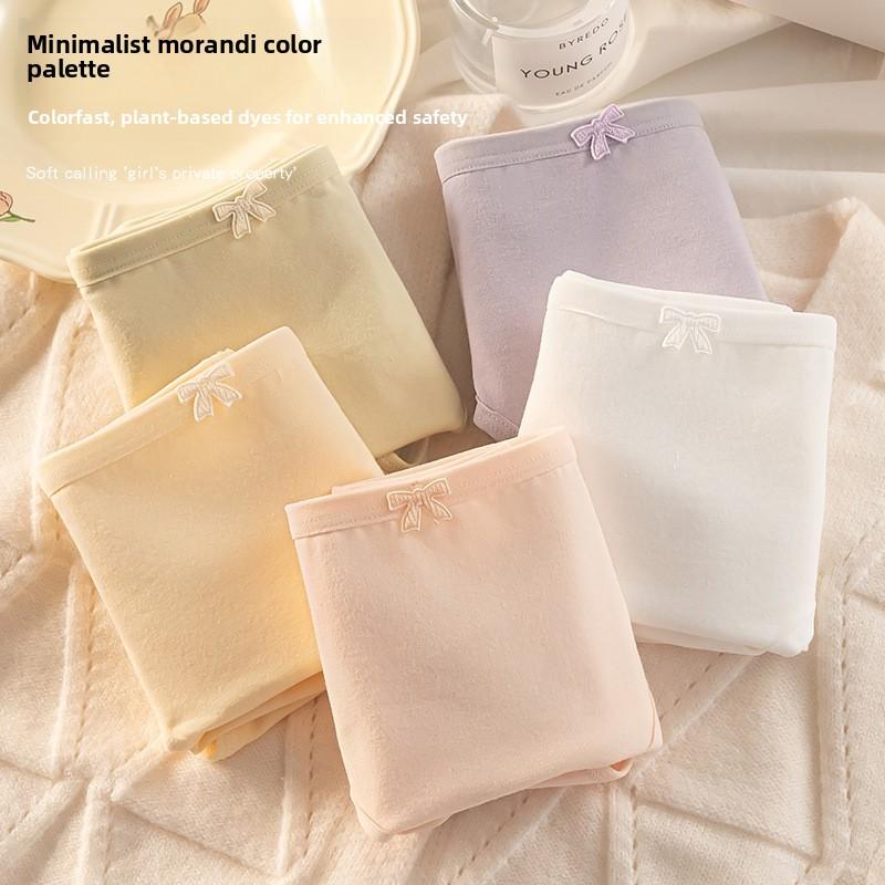 Ladies Spring and Autumn Simple Lovely Pure Color No Scars Comfortable Breathable Antibacterial File Waist Triangle Briefs