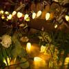 Warm White Light String Strawberry String Lights Suitable for Christmas Celebration Birthday Party Bar Cafe Decorative Light