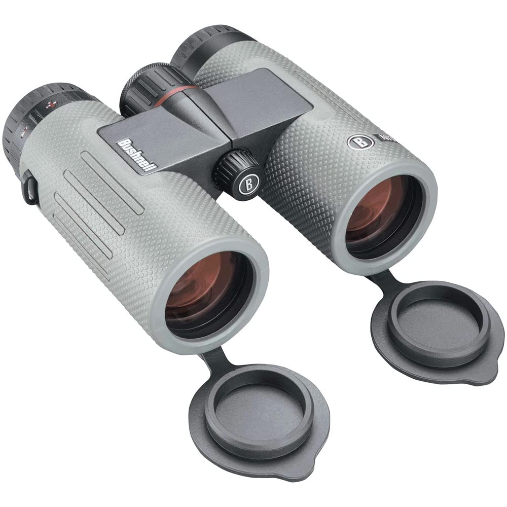 

Bushnell Nitro 10x36 BN1036G сірий колір