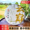 Scraping Walled Pu'er Teekuchen Yiwu Ancient Tree Raw Tea Erster Frühling Yunnan Tee