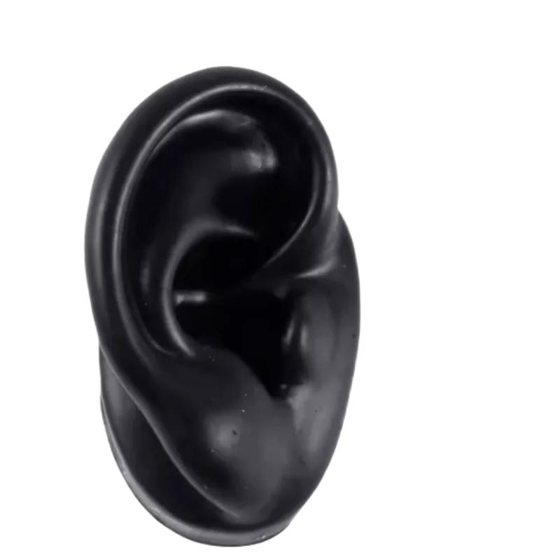 5D Silicone Simulated Artificial Ear Model Ear Stud Piercing Piercing Piercing Teaching Hearing Aid Acupuncture Practice Prop