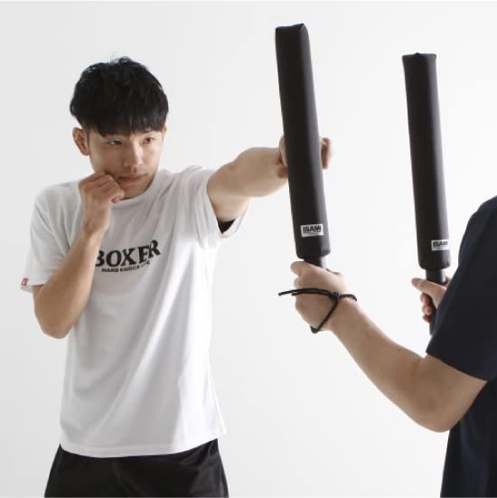 Isami Stick Mitts for Martial and SS-800 Arts, Karate, Kickboxing, All-Terrain