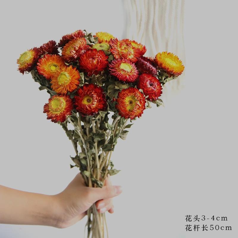 

Daisies dried flower bouquet decorative ornament shooting props natural real flower arrangement bedroom dried bouquet