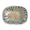 Dish Glass Plate Oval Dish Plate Small White Gold 12cm Sairan J-kitchens