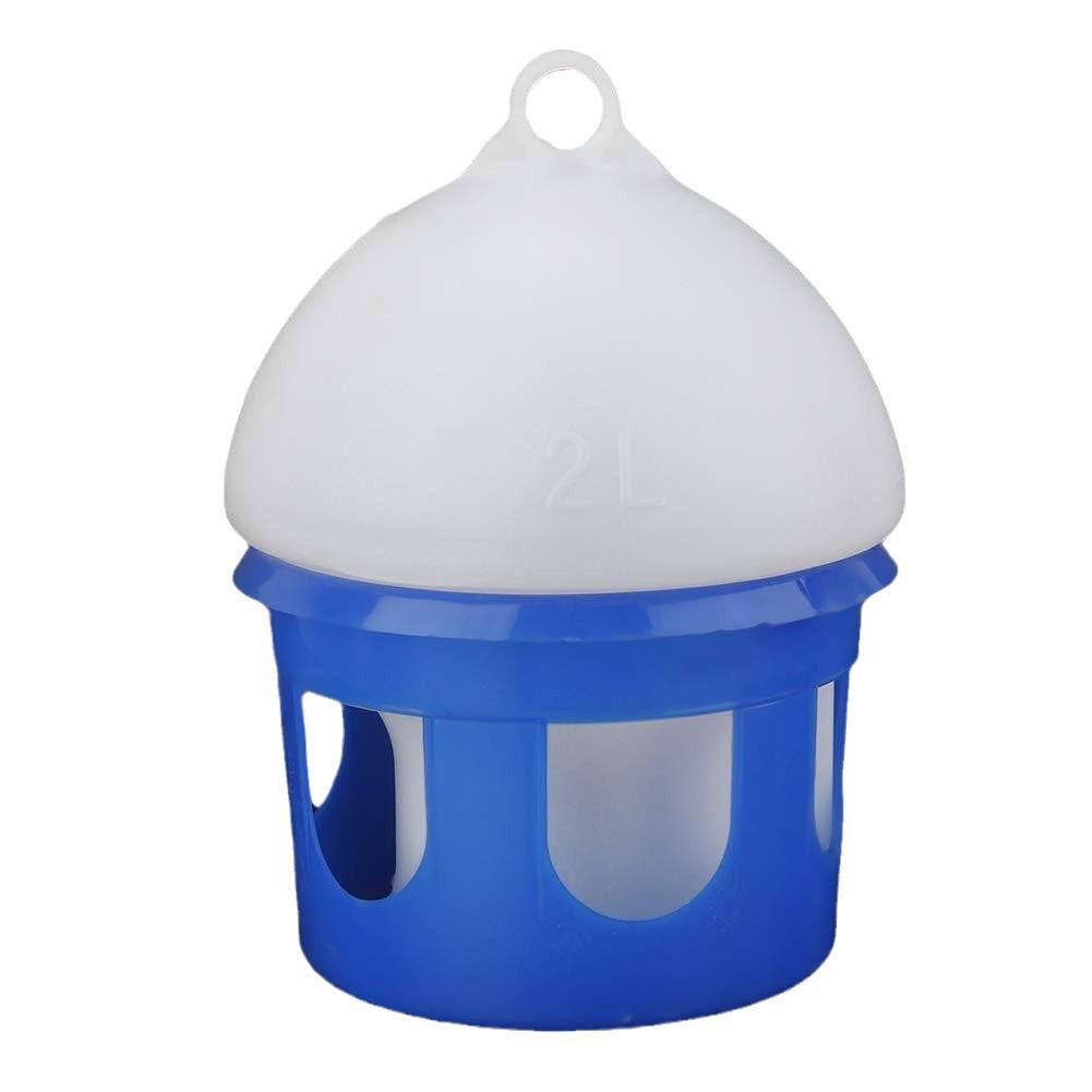 Racing Pigeon Supplies: Waterer & Feeder Bird Drinking Fountain
