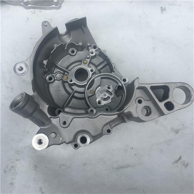 Motorcycle Accessories WH100T Joy Ou 2 Engine Crankcase Casings - Large & Small, Left & Right