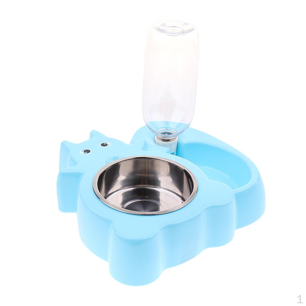 

and dog Automatic Dispenser Food Squirrel Blue