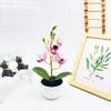 Phalaenopsis Potted Simulated Artificial Artificial Flower Ornament Desktop