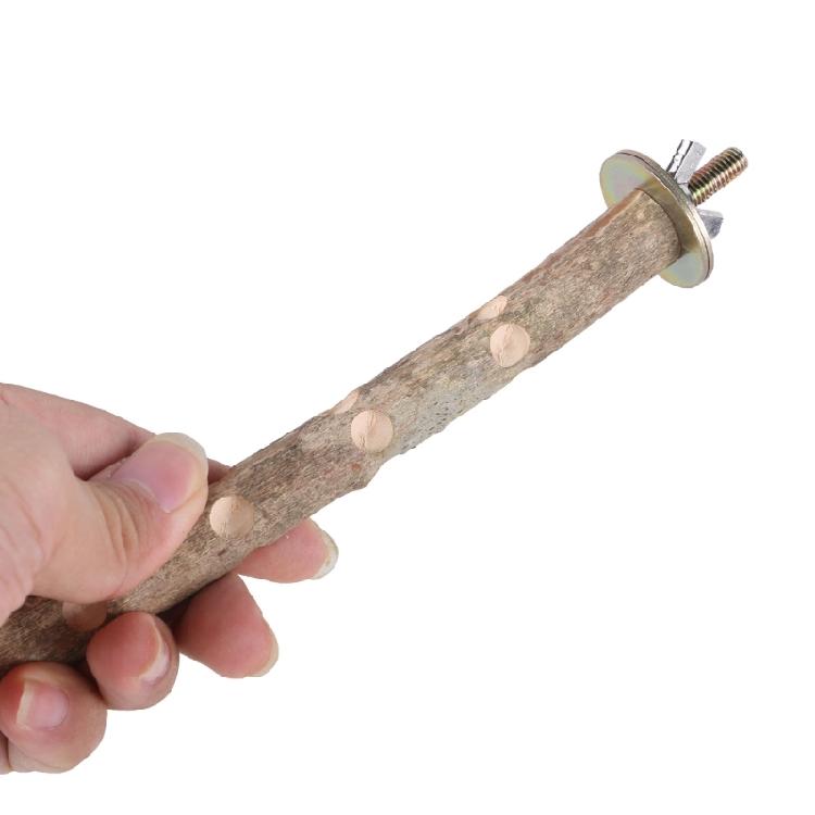 Multifunctional Parrots Stand Branch Grinding Scratchers Toy for Conure