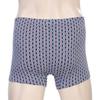 Barbara Men S Print Cotton drawerS Gmt2025d 
