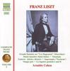 CD ARNALDO COHEN  Liszt  Piano Music Vol.1 8553852 NAXOS 1997 Germany Classical Used