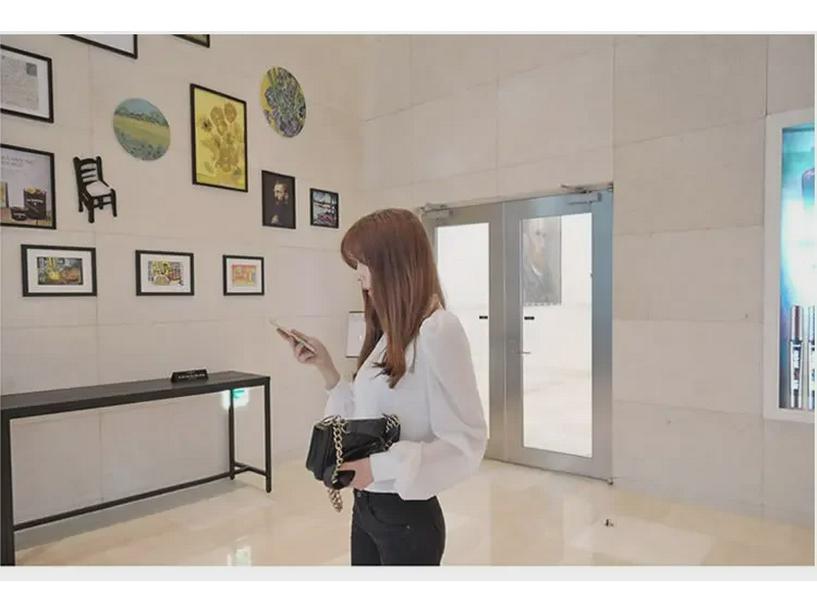 Bluză șic de damă din șifon plisat cu mâneci felinar