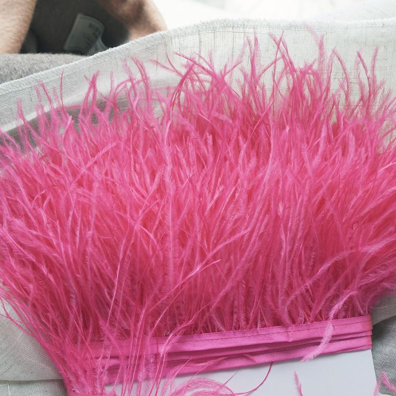Ostrich Feather Fringe - Various Colors, 10-15cm, 1 Meter for Clothing Accessories